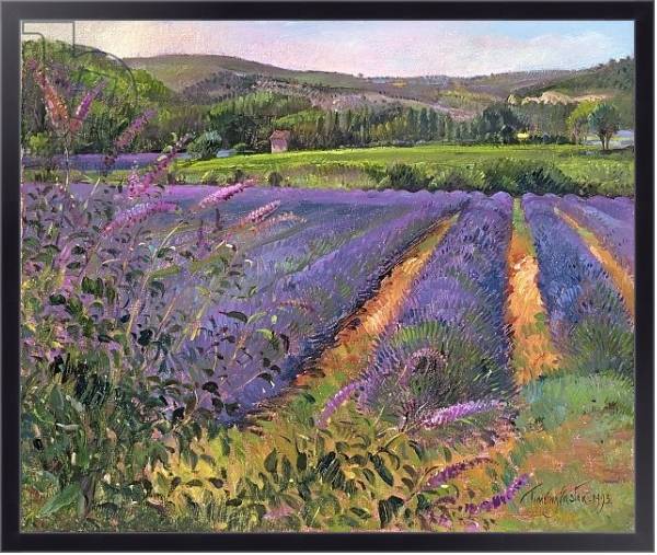 Постер Buddleia and Lavender Field, Montclus, 1993 с типом исполнения На холсте в раме в багетной раме 221-01