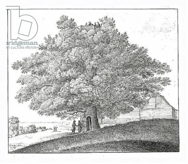 Постер Hollow Tree at Hampstead, 1663 с типом исполнения На холсте в раме в багетной раме 221-03