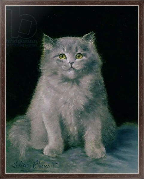 Постер Study of a cat с типом исполнения На холсте в раме в багетной раме 221-02