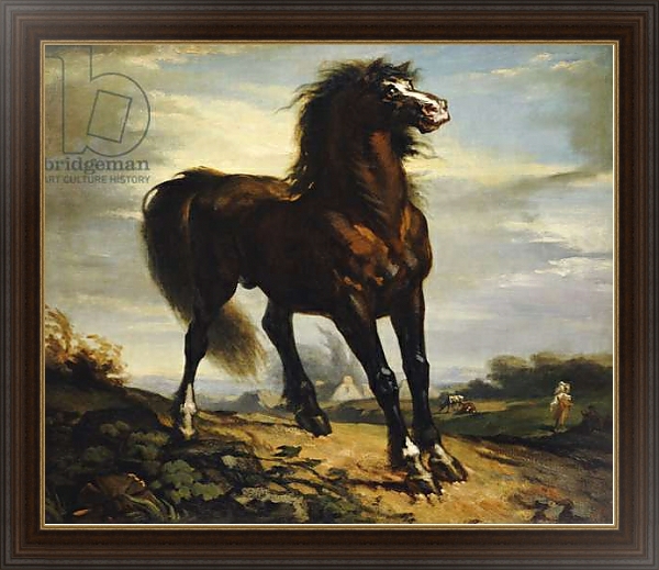 Постер The Horse с типом исполнения На холсте в раме в багетной раме 1.023.151