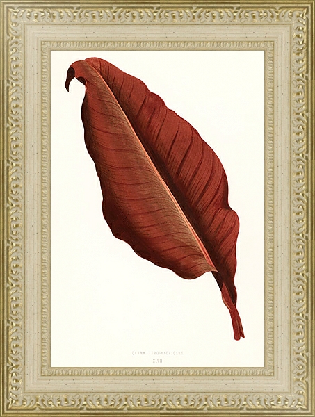 Постер Великолепный одиночный красный лист с типом исполнения Акварель в раме в багетной раме 484.M48.725