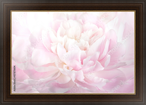 Постер Нежно-розовый пион макро с типом исполнения На холсте в раме в багетной раме 1.023.151