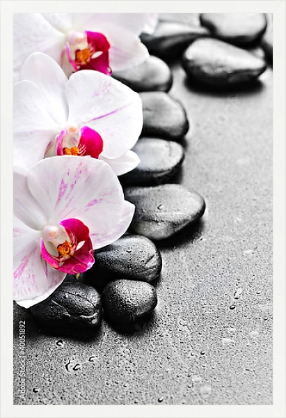 Постер Камни. Орхидеи с типом исполнения На холсте в раме в багетной раме 1727.7010