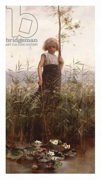 Постер The Water Lilies с типом исполнения На холсте в раме в багетной раме 221-03