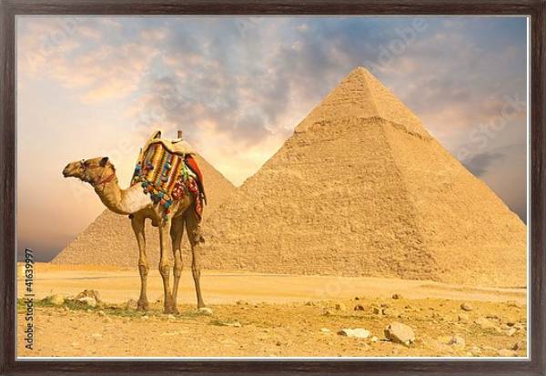 Постер Верблюд и пирамида с типом исполнения На холсте в раме в багетной раме 221-02