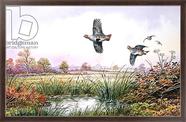Постер Partridge in Flight с типом исполнения На холсте в раме в багетной раме 221-02