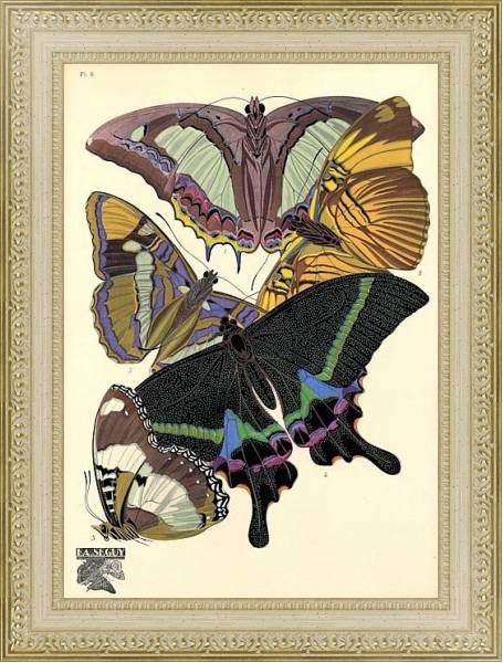 Постер Papillons by E. A. Seguy №19 с типом исполнения Акварель в раме в багетной раме 484.M48.725