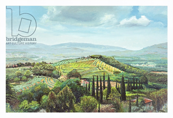 Постер Rolling Hills, Pistoia, Tuscany с типом исполнения На холсте в раме в багетной раме 221-03