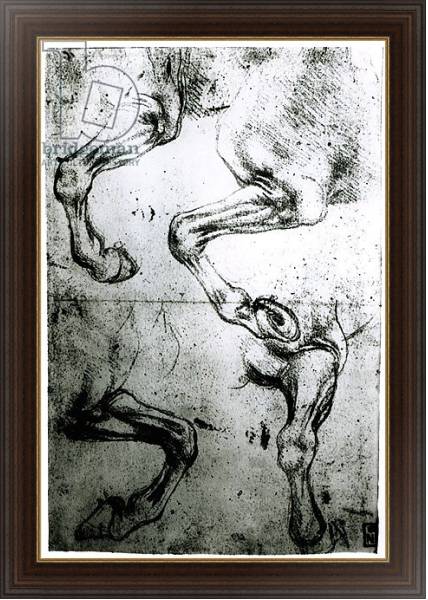 Постер Studies of Horses legs с типом исполнения На холсте в раме в багетной раме 1.023.151