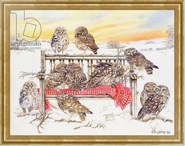 Постер Little Owls on Twig Bench, 1999 с типом исполнения На холсте в раме в багетной раме NA033.1.051