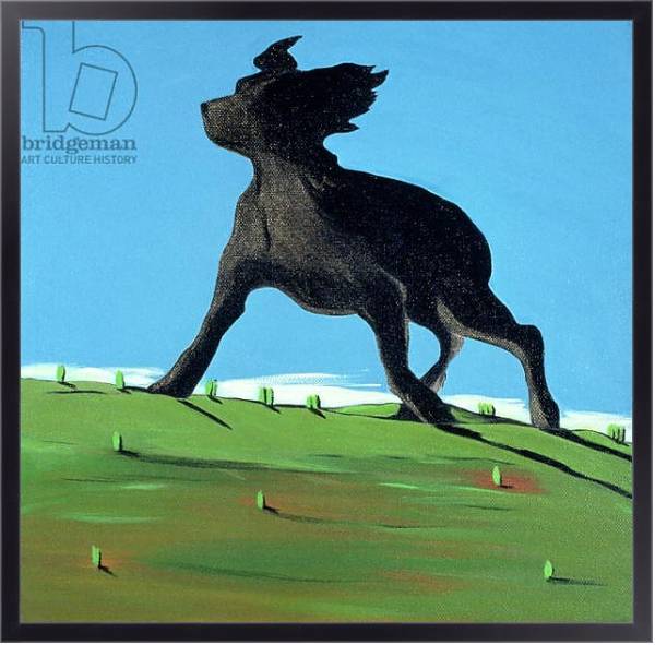 Постер Amazing Black Dog, 2000 с типом исполнения На холсте в раме в багетной раме 221-01