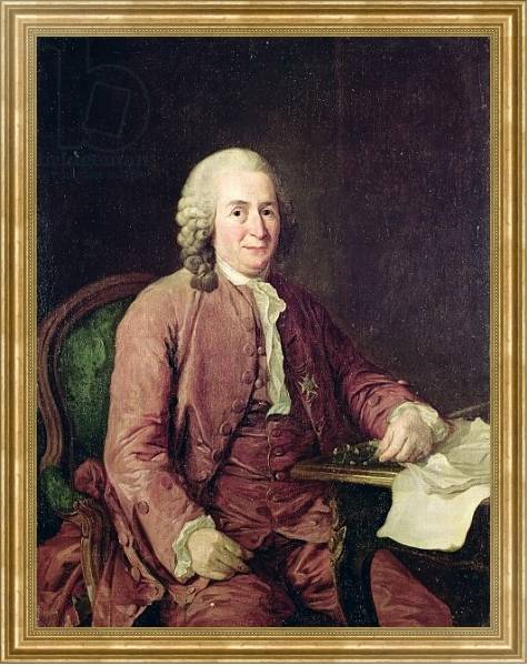 Постер Portrait of Carl von Linnaeus с типом исполнения На холсте в раме в багетной раме NA033.1.051