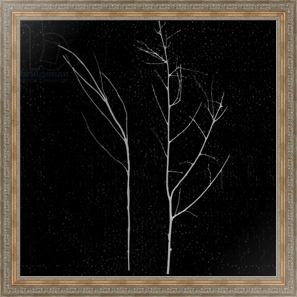 Постер territori innevati - due alberi notte, 2012, photographic contamination с типом исполнения На холсте в раме в багетной раме 484.M48.310