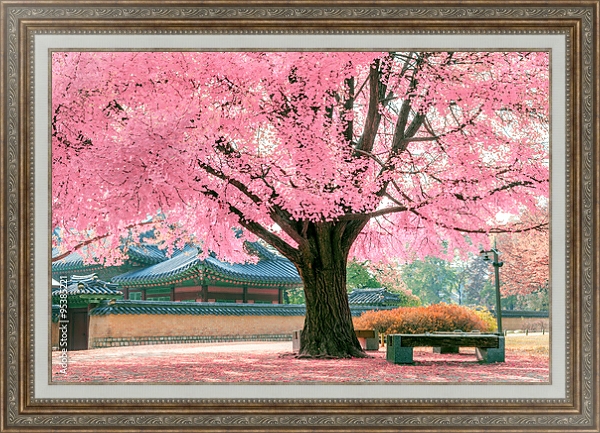 Постер Розовое дерево, Япония с типом исполнения На холсте в раме в багетной раме 595.M52.330