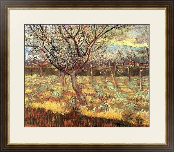 Постер Абрикосовые деревья в цвету с типом исполнения Под стеклом в багетной раме 1.023.036