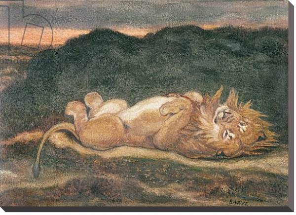 Постер Lion Resting on his Back с типом исполнения На холсте без рамы