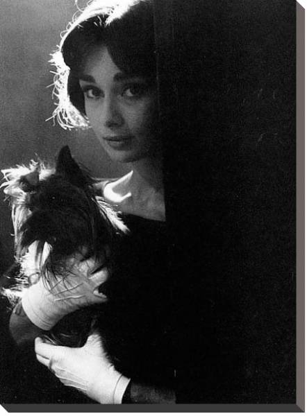 Постер Хепберн Одри 60 с типом исполнения На холсте без рамы