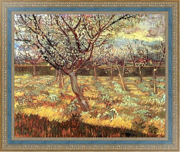 Постер Абрикосовые деревья в цвету с типом исполнения На холсте в раме в багетной раме 484.M48.685