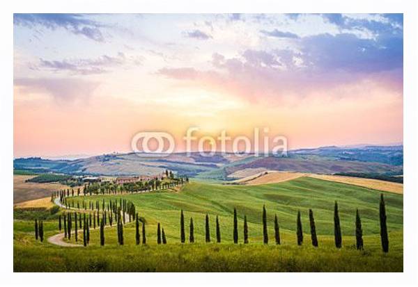 Постер Извилистые дороги с кипарисами, зеленый пейзаж на закате, Тоскана, Италия с типом исполнения На холсте в раме в багетной раме 221-03