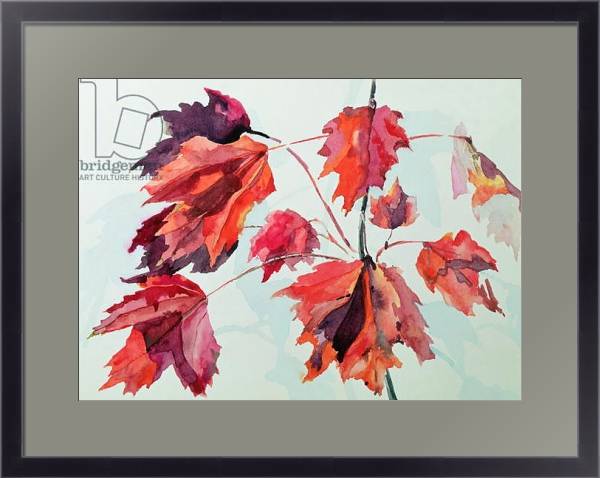 Постер No.24 Autumn Maple Leaves с типом исполнения Под стеклом в багетной раме 221-01