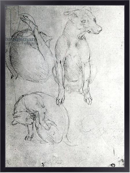 Постер Study of a dog and a cat, c.1480 с типом исполнения На холсте в раме в багетной раме 221-01