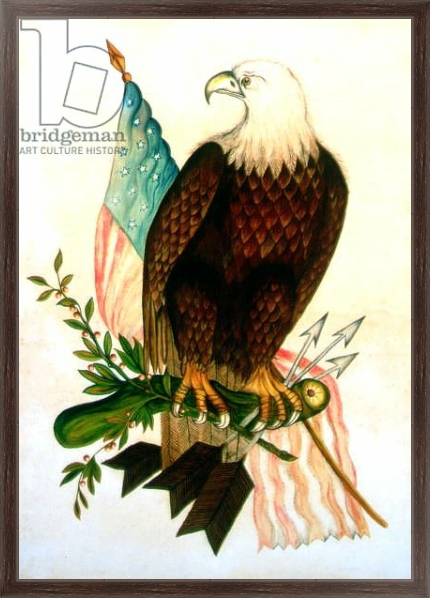 Постер Bald eagle with flag с типом исполнения На холсте в раме в багетной раме 221-02