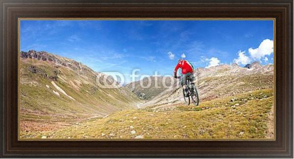 Постер Скоростной спуск на горном велосипеде с типом исполнения На холсте в раме в багетной раме 1.023.151
