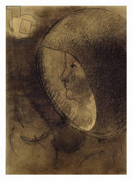 Постер Cellular Face, 1895 с типом исполнения На холсте в раме в багетной раме 221-03