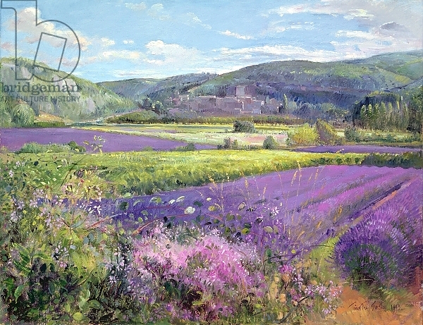 Постер Lavender Fields in Old Provence с типом исполнения На холсте без рамы