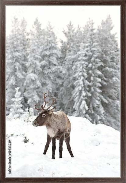 Постер Олень в снегу на фоне заснеженного леса с типом исполнения На холсте в раме в багетной раме 221-02