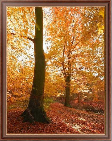 Постер Золотой лес с типом исполнения На холсте в раме в багетной раме 35-M719P-83