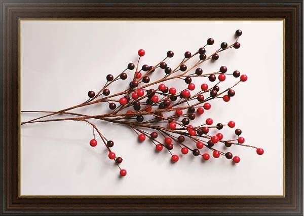 Постер Веточка с ягодами с типом исполнения На холсте в раме в багетной раме 1.023.151