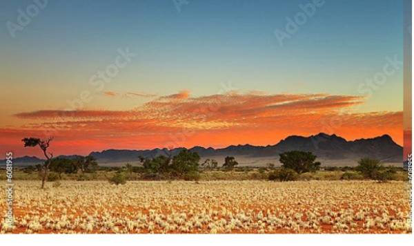 Постер Красочный закат в пустыне Калахари, Намибия с типом исполнения На холсте без рамы