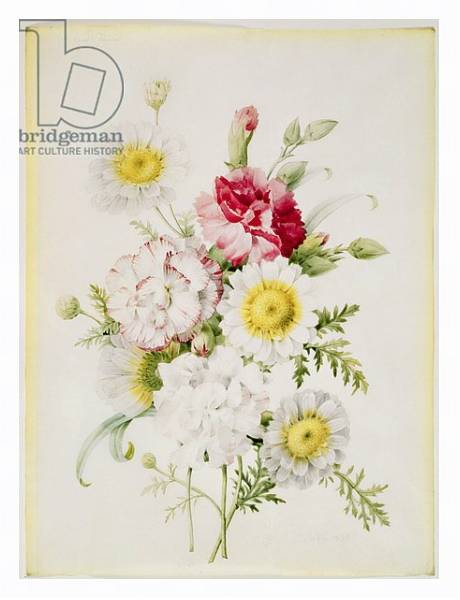 Постер Bunch of Mixed Carnations and White Marigolds, 1839 с типом исполнения На холсте в раме в багетной раме 221-03