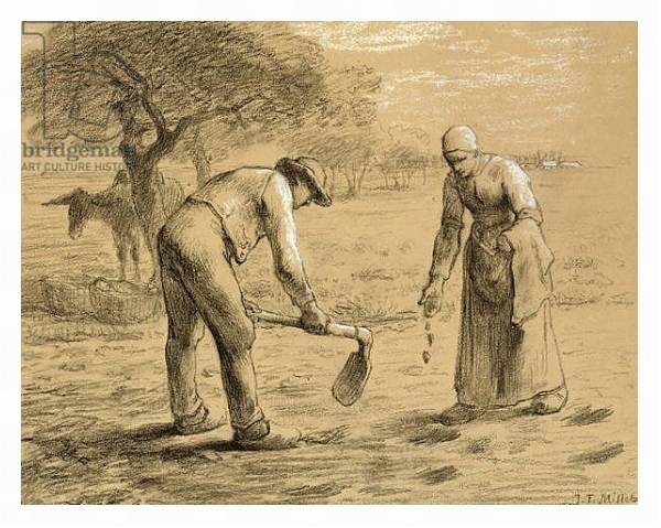 Постер Peasants planting potatoes с типом исполнения На холсте в раме в багетной раме 221-03