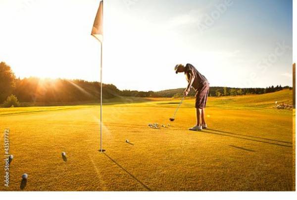 Постер Тренировка игрока в гольф с типом исполнения На холсте без рамы