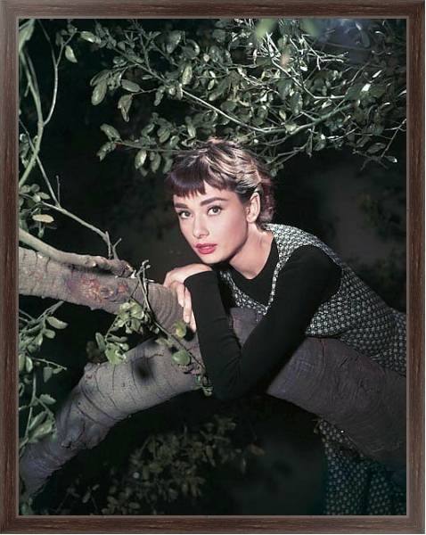 Постер Hepburn, Audrey (Sabrina) 12 с типом исполнения На холсте в раме в багетной раме 221-02
