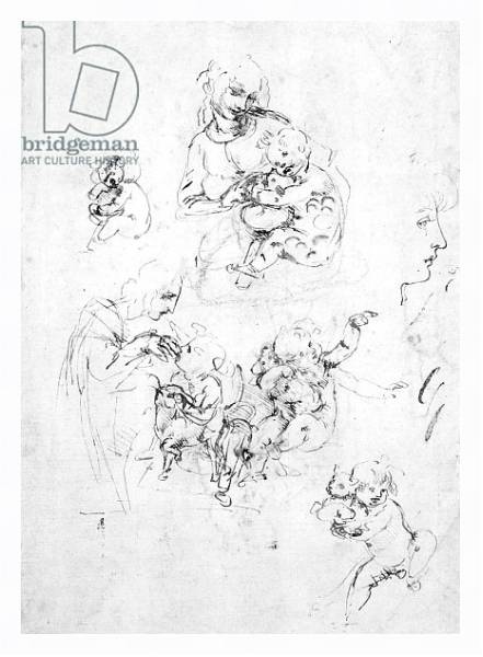 Постер Studies for a Madonna with a cat, c.1478-80 1 с типом исполнения На холсте в раме в багетной раме 221-03