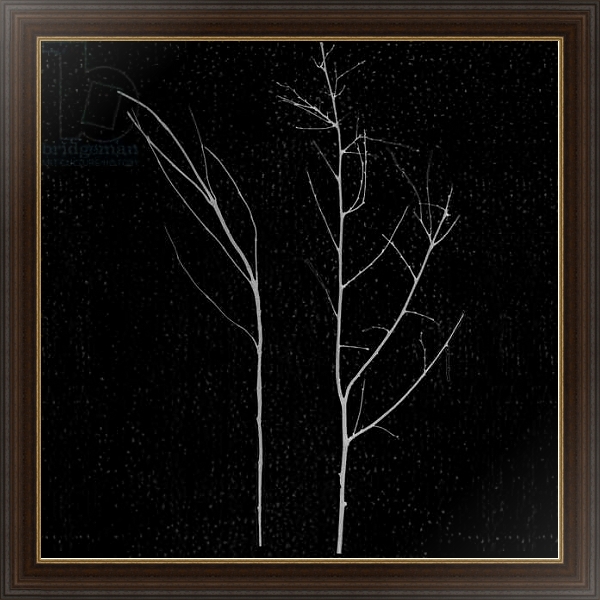 Постер territori innevati - due alberi notte, 2012, photographic contamination с типом исполнения На холсте в раме в багетной раме 1.023.151