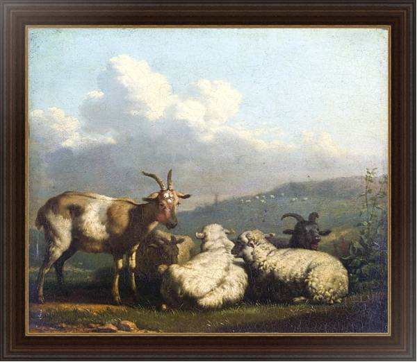 Постер Овцы и козлы с типом исполнения На холсте в раме в багетной раме 1.023.151