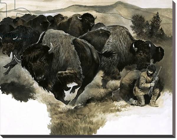 Постер Charging buffalo с типом исполнения На холсте без рамы