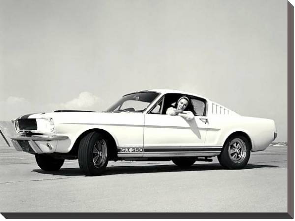 Постер Shelby GT350 '1965 с типом исполнения На холсте без рамы