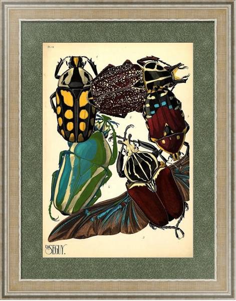 Постер Insects by E. A. Seguy №3 с типом исполнения Акварель в раме в багетной раме 485.M40.584