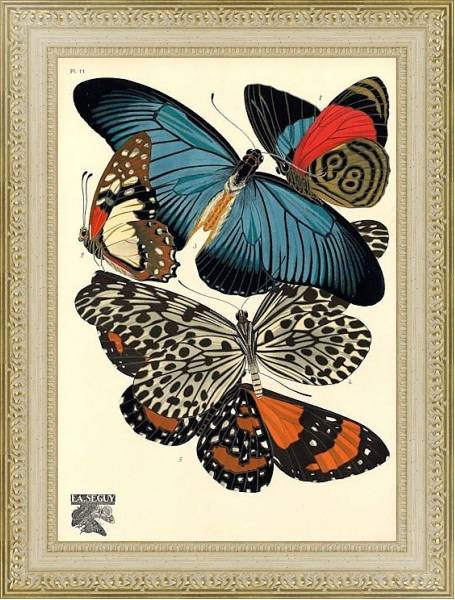 Постер Papillons by E. A. Seguy №3 с типом исполнения Акварель в раме в багетной раме 484.M48.725