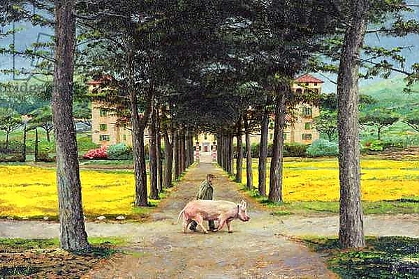 Постер Big Pig, Pistoia, Tuscany с типом исполнения На холсте без рамы