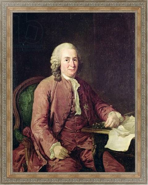 Постер Portrait of Carl von Linnaeus с типом исполнения На холсте в раме в багетной раме 484.M48.310