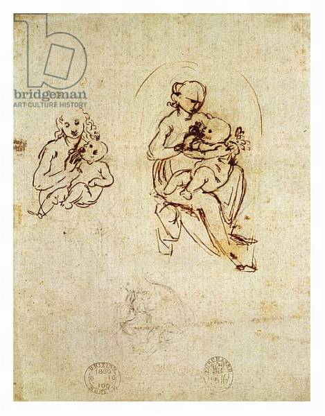 Постер Study for the Virgin and Child, c.1478-1480 с типом исполнения На холсте в раме в багетной раме 221-03