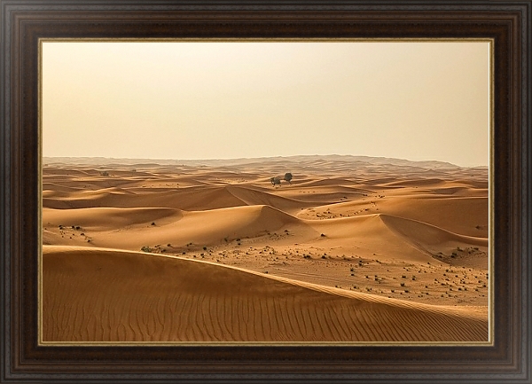 Постер Пески пустыни 1 с типом исполнения На холсте в раме в багетной раме 1.023.151