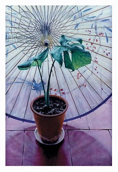 Постер Chinese Umbrella с типом исполнения На холсте в раме в багетной раме 221-03