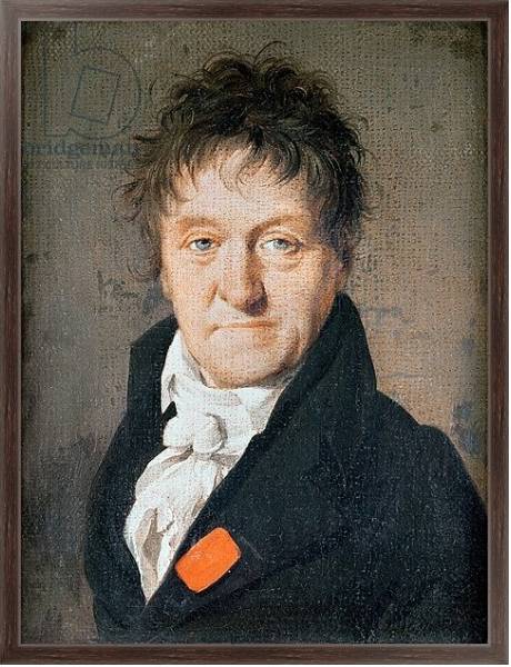 Постер Portrait of Lazare Nicolas Marguerite Carnot 1813 с типом исполнения На холсте в раме в багетной раме 221-02